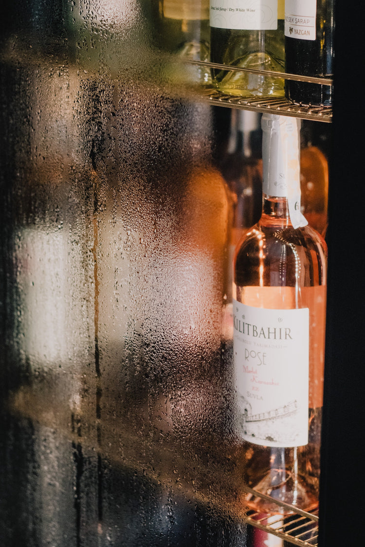 How to Choose a Wine Fridge The Ultimate Buying Guide for Wine Cooler