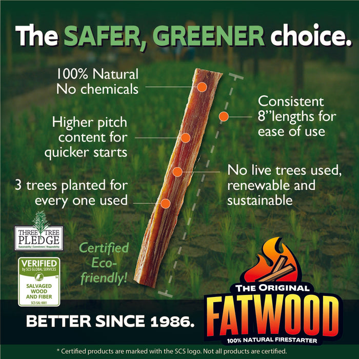 Betterwood Fatwood Firestarter, All Weather Natural Pine Fire Sticks, 10 Pounds