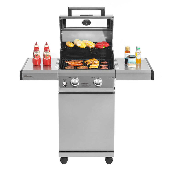 Mesa 200 | Stainless Propane Gas Grill