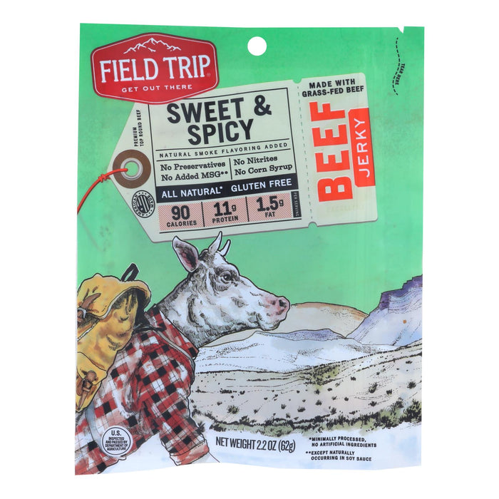 Temperature-Regulated Field Trip Honey Spice Beef Jerky - Pack of 9, 2.2 Oz. Each