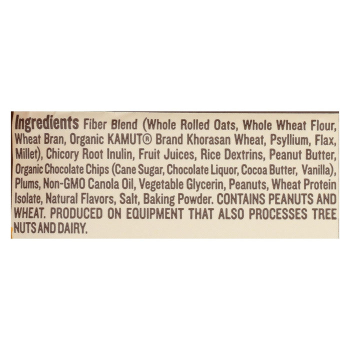 Nugo Fiber Dlish Peanut Chocolate Chip Bar - 1.6 Oz - Case of 16