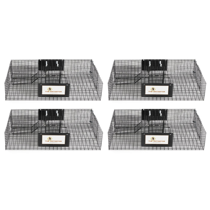 Rugged Ranch Ratinator Rat Squirrel Chipmunk Metal 2 Door Trap Cage (4 Pack)