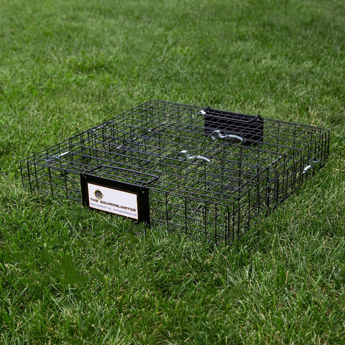 Rugged Ranch Squirrelinator Squirrel Chipmunk Metal 2 Door Trap Cage (4 Pack)