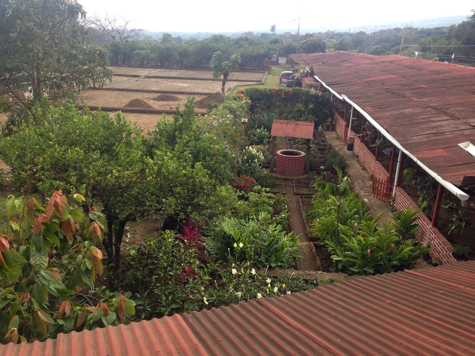 El Salvador Farm to Cup Washed