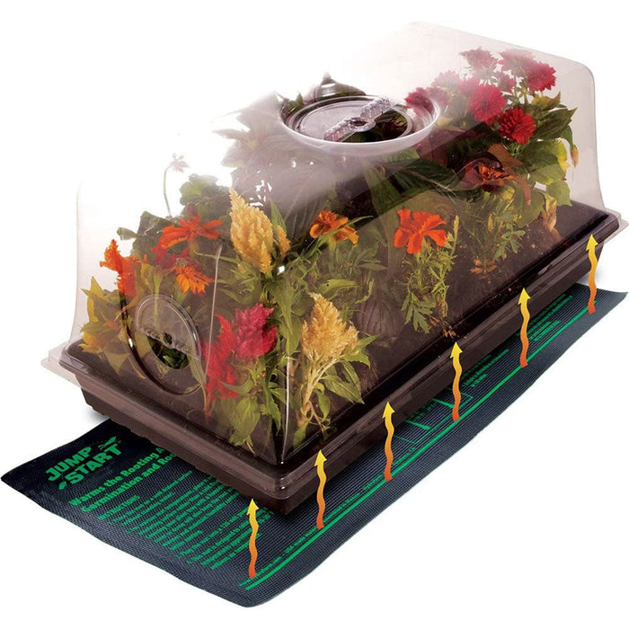 Jump Start CK64060 Germination Hot House with Heat Mat, Tray, Cell Insert & Dome