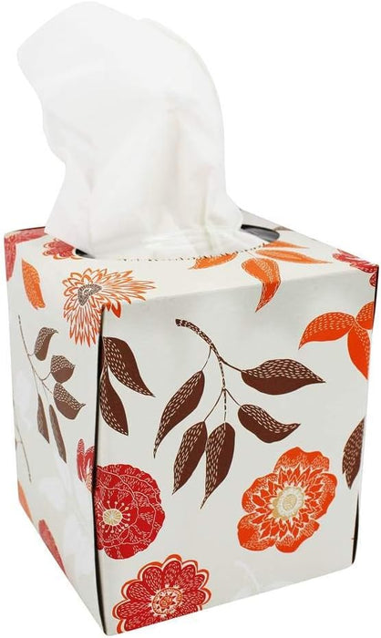 Natural Value Facial Tissue 2-Ply, Case of 36 - 85 Count per Box