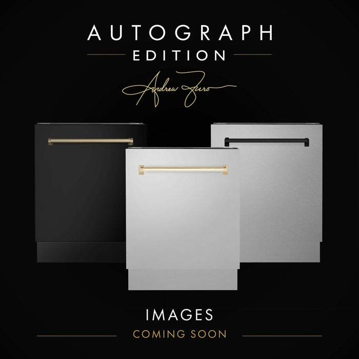 ZLINE Autograph Edition 18 in. Tallac Dishwasher Panel in Stainless Steel with Accent Handle (DPVZ-304-18) Gold