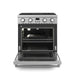 THOR Kitchen 30" Contemporary Professional Natural Gas Range, ARG30