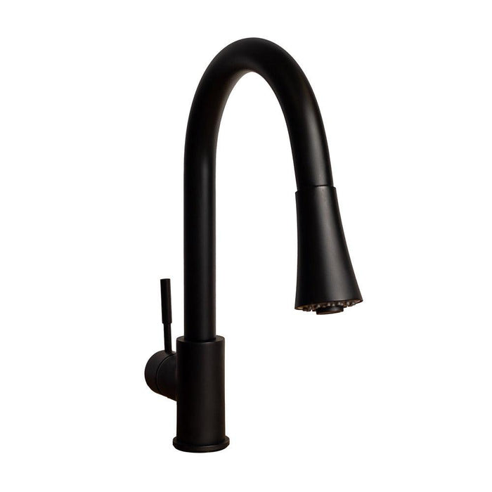 ZLINE Edison Pull Down Single Handle Kitchen Faucet in Matte Black (EDS-KF-MB)