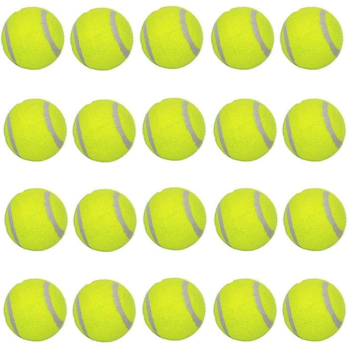 20 Pcs Pet Dog Tennis Ball Premium Fetch Toy 2 Inch Mini Tennis Ball for Puppy Small Dog