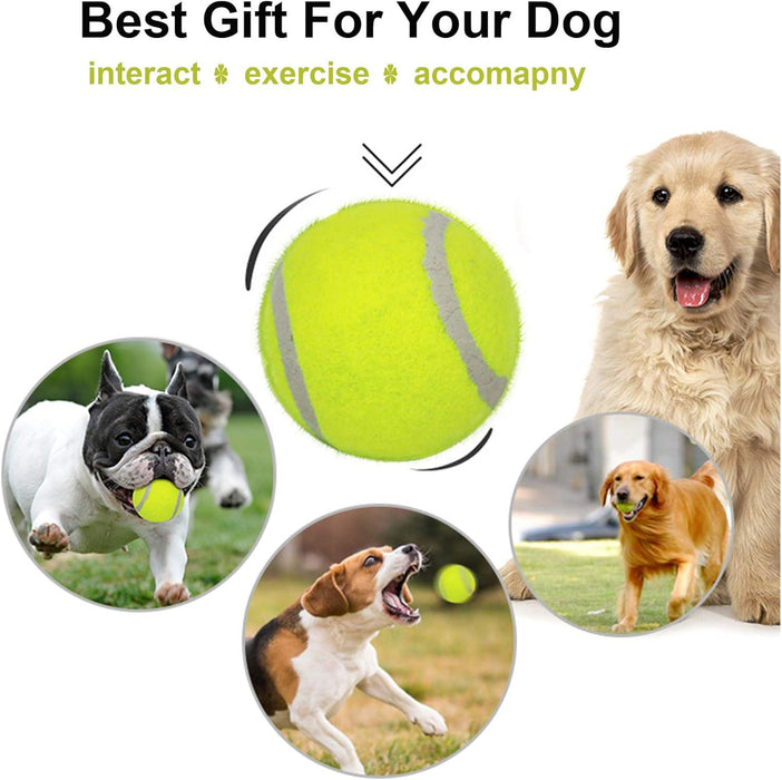 20 Pcs Pet Dog Tennis Ball Premium Fetch Toy 2 Inch Mini Tennis Ball for Puppy Small Dog