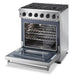 THOR Kitchen Package - 30" Propane Gas Range, Range Hood, Refrigerator with Water and Ice Dispenser, Dishwasher, Wine Cooler, AP-LRG3001ULP-11