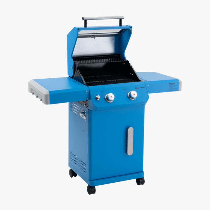 Mesa 200 | Matte Color Propane Gas Grill