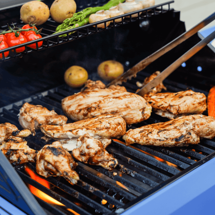 Mesa 200 | Matte Color Propane Gas Grill