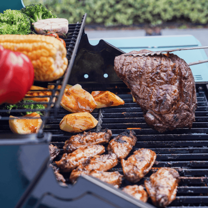 Mesa 200 | Matte Color Propane Gas Grill