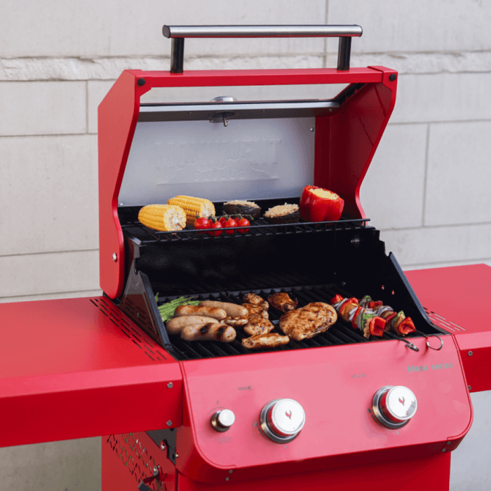 Mesa 200 | Matte Color Propane Gas Grill