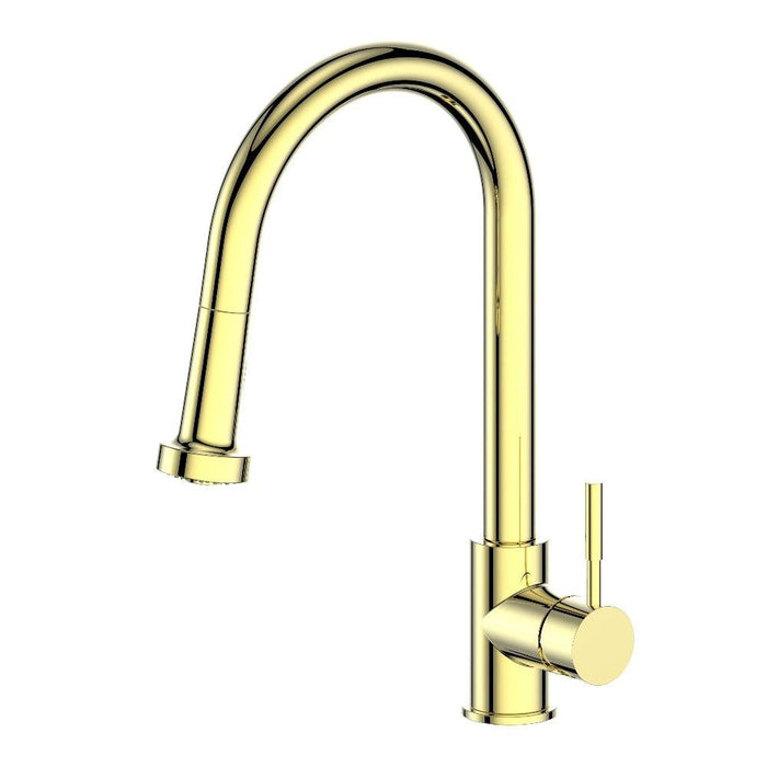 ZLINE Monet Pull Down Single Handle Kitchen Faucet in Polished Gold (MON-KF-PG)