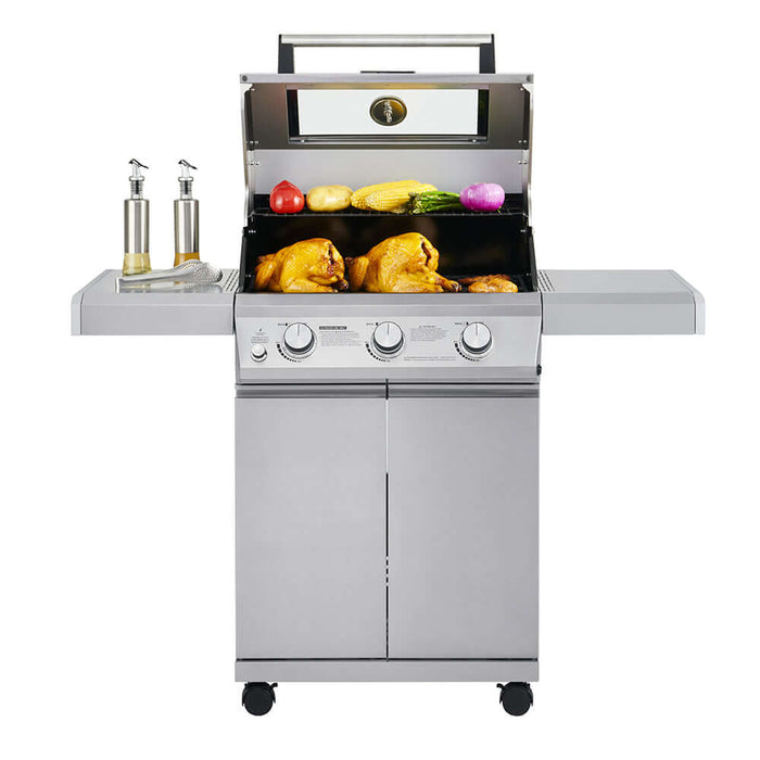 Mesa 300 | Stainless Propane Gas Grill