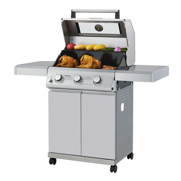 Mesa 300 | Stainless Propane Gas Grill