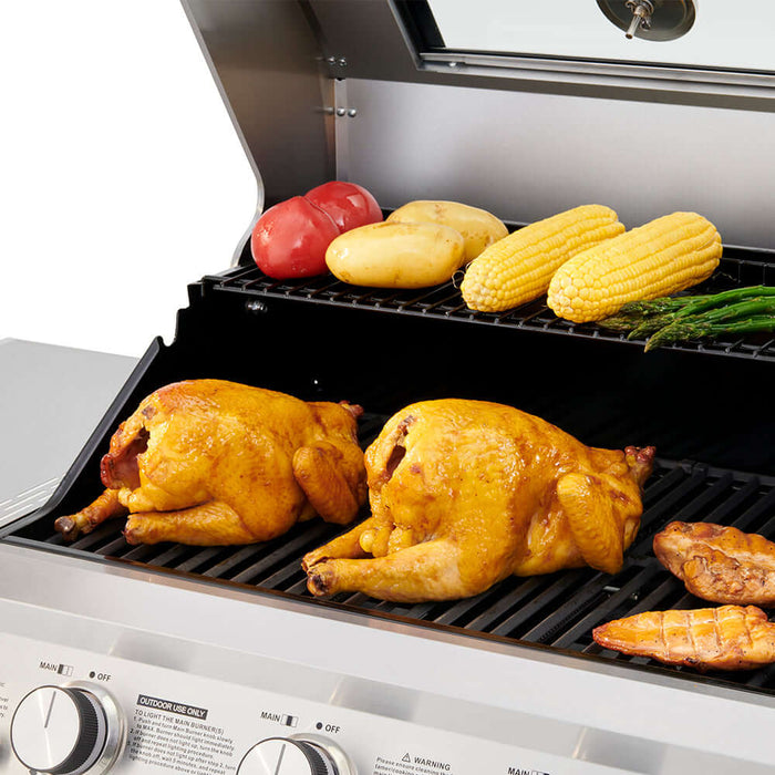 Mesa 300 | Stainless Propane Gas Grill