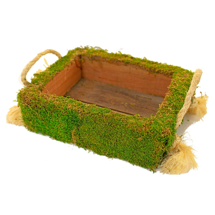 Make Your Own Succulent Planter Box