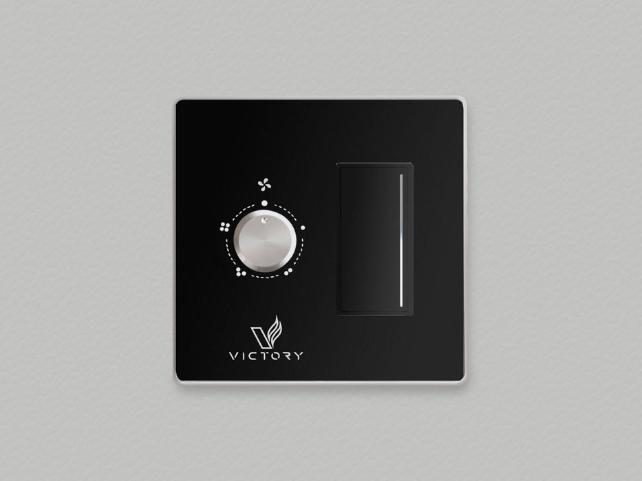 Double Wall Switch Controls (Full Set) (with Light Control)