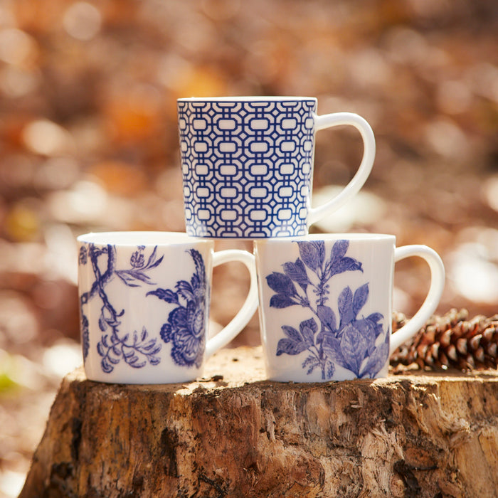 Newport Garden Gate Mug