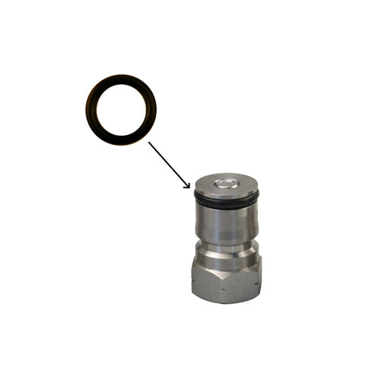 O-Ring for Ball Lock Tank Plug