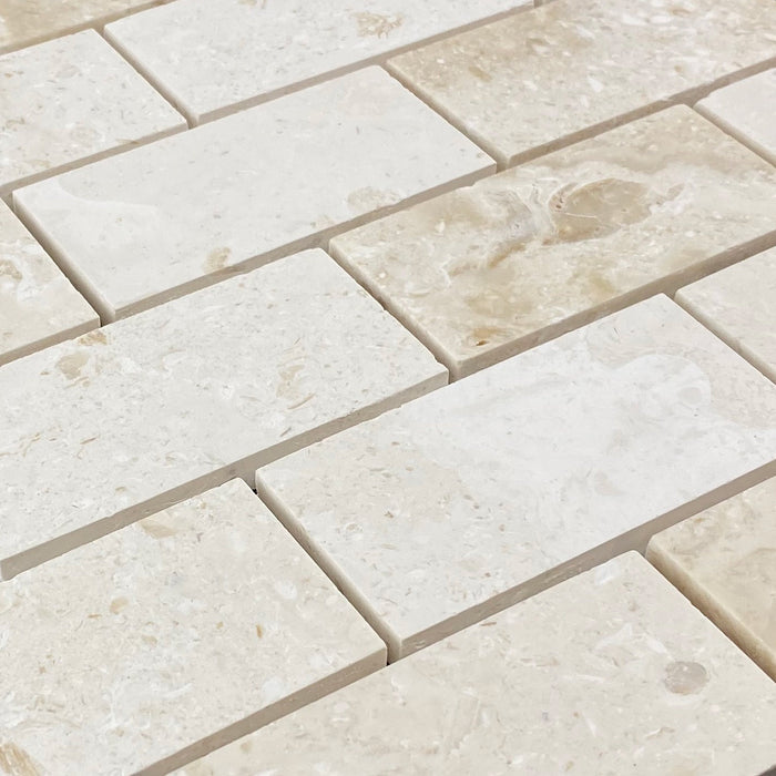 Shell Stone Limestone 2"x4" Brick Honed on 12" x 12" Mesh Mosaic Tile - Belair Collection