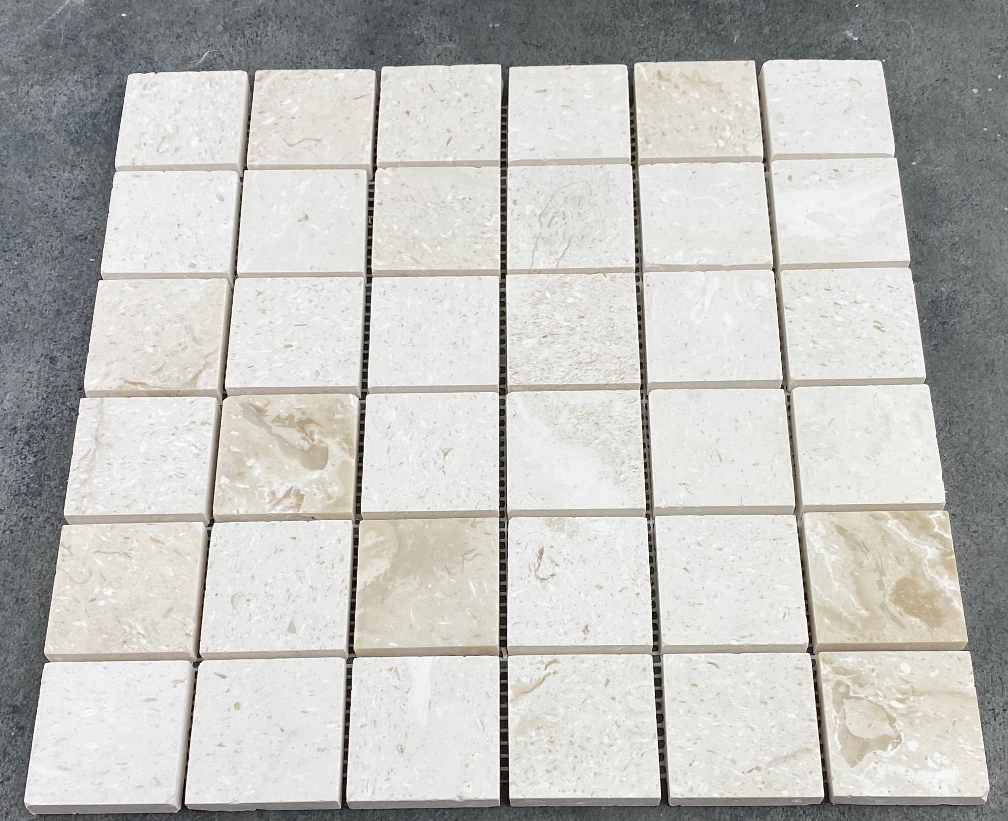 Shell Stone Limestone 2