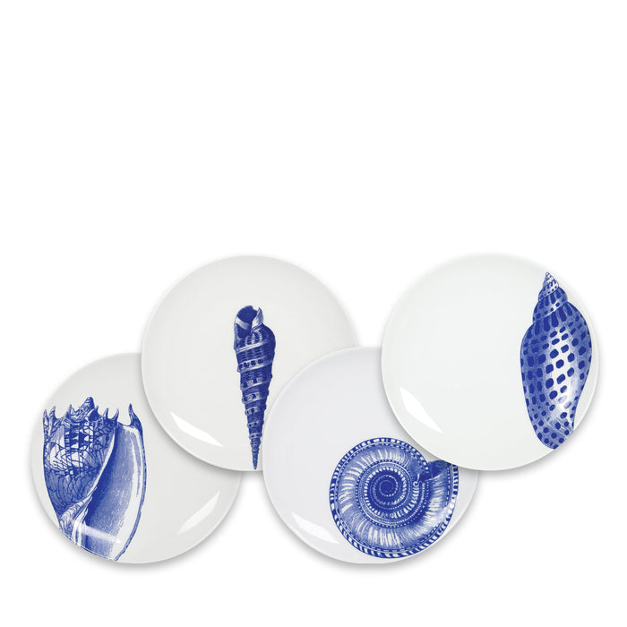 Shells Small Plates, Set of 4