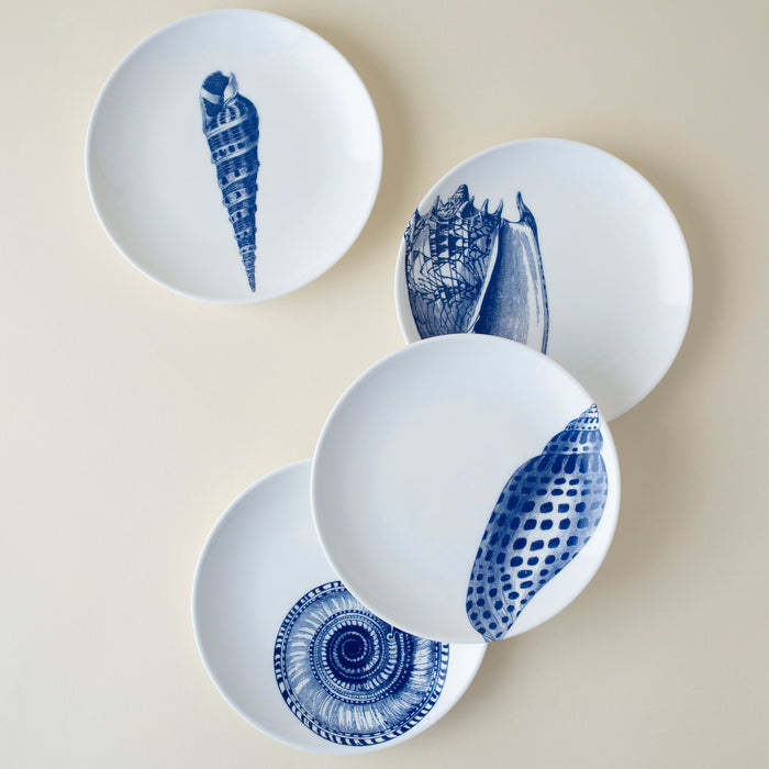 Shells Small Plates, Set of 4