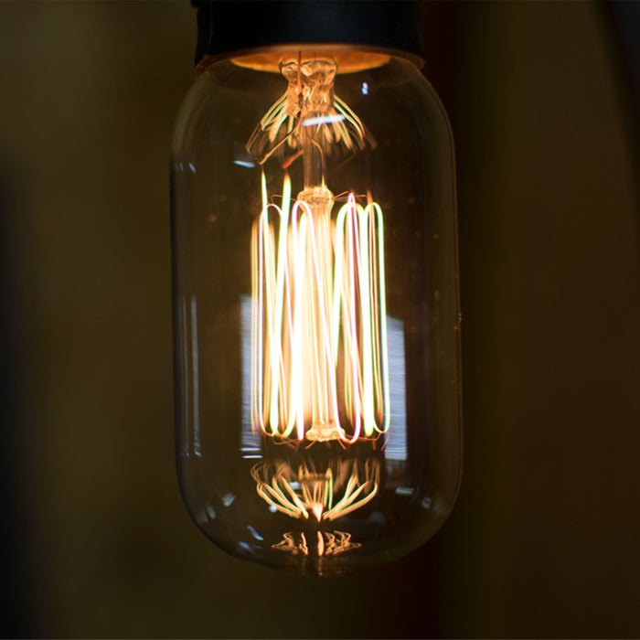 T45 Vintage Edison Light Bulbs