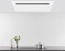 white ceiling mount range hood victory range hoods