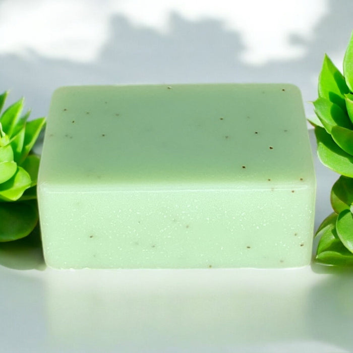 Cold Process Soap Bar | Tea Tree