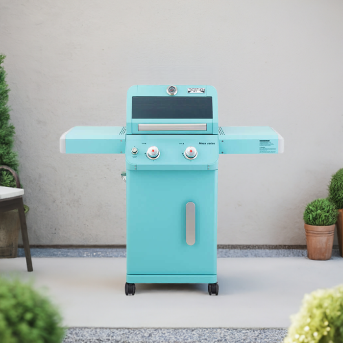 Mesa 200 | Matte Color Propane Gas Grill