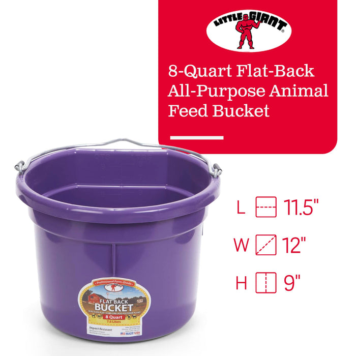 Little Giant P8FBPURPLE 2 Gallon All Purpose Flat Back Plastic Bucket, Purple