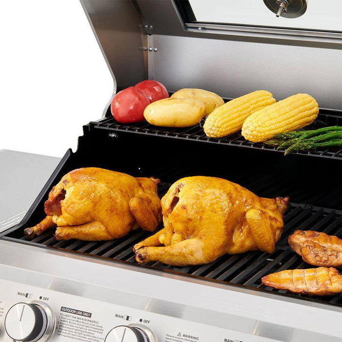 Mesa 400M | Stainless Propane Gas Grill