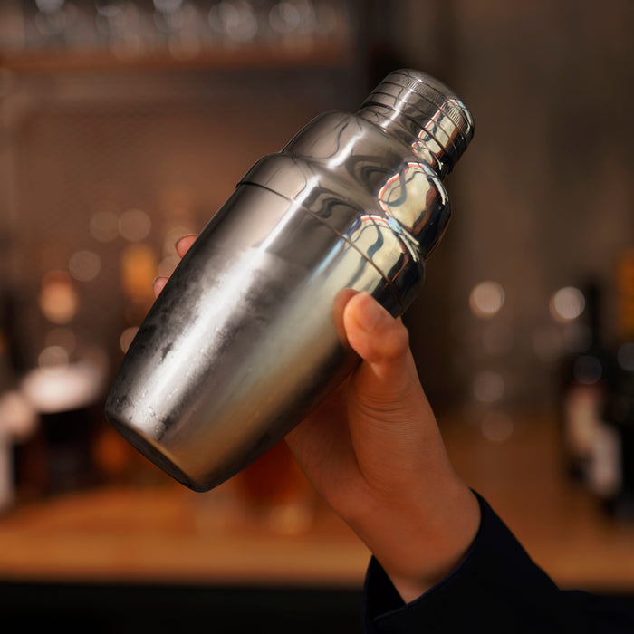 Harrison Heavyweight Cocktail Shaker