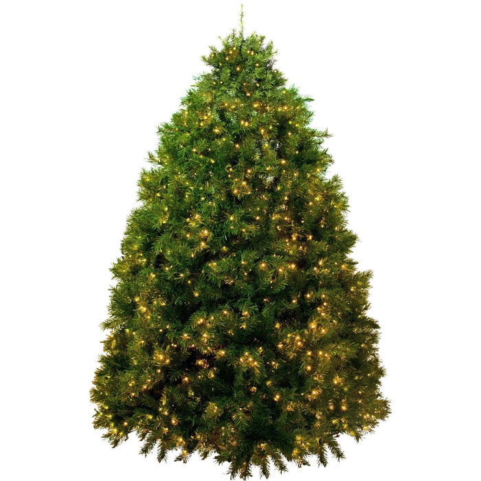 Premier Pre-Lit Pine Christmas Tree