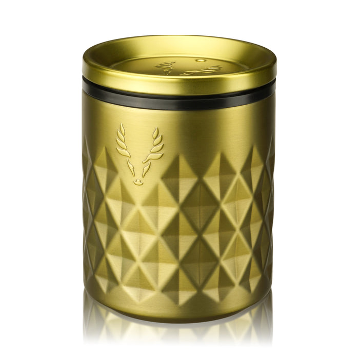 Paragon Stainless Steel Rocks Tumbler in Gold