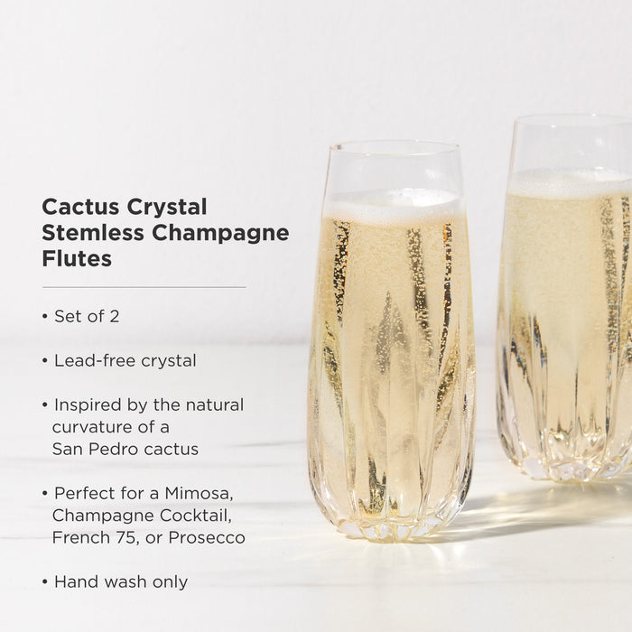 Cactus Crystal Stemless Champagne Flutes Set of 2