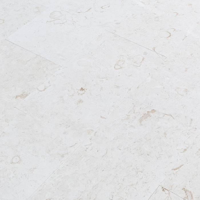 Shell Stone White Limestone Tiles 12"x24" Floor and Wall Tile - Belair Collection