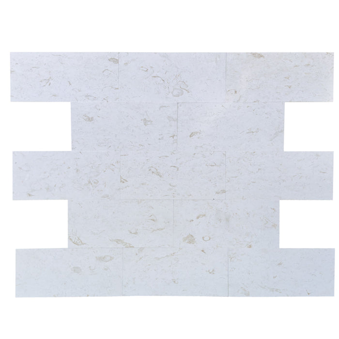 Shell Stone White Limestone Tiles 12"x24" Floor and Wall Tile - Belair Collection