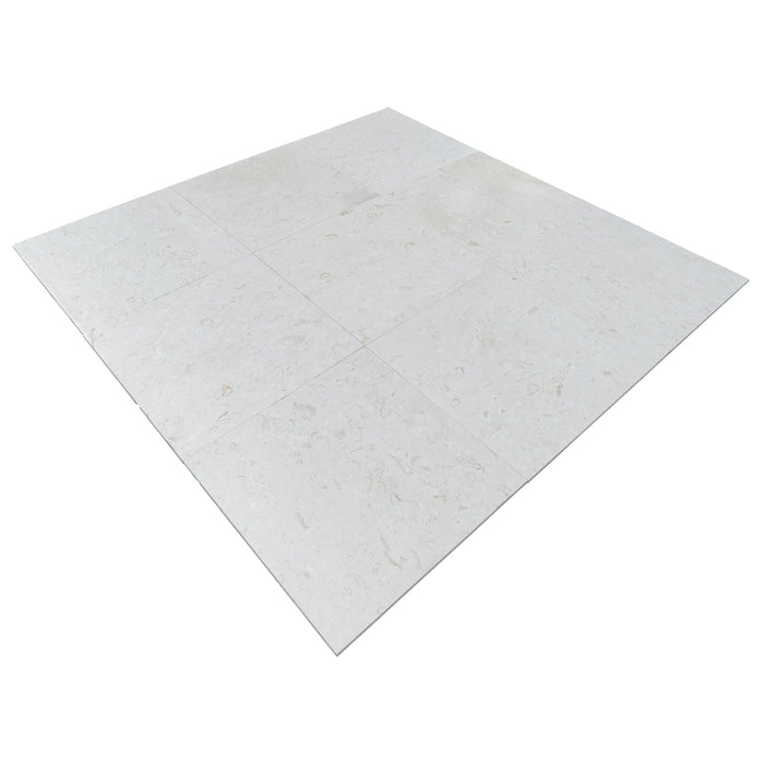 Shell Stone White Limestone Tiles 24"x24" Floor and Wall Tile - Belair Collection