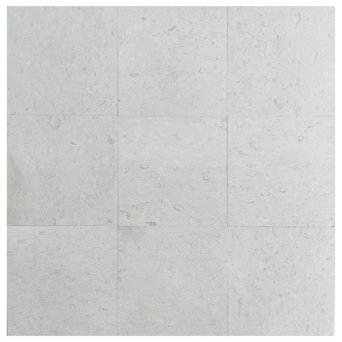 Shell Stone White Limestone Tiles 24"x24" Floor and Wall Tile - Belair Collection