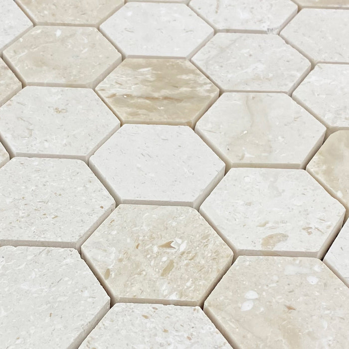 Shell Stone Limestone 2" Hexagon Honed on 12" x 12" Mesh Mosaic Tile - Belair Collection