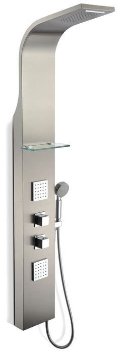 Niagara 64 in. 2-Jetted Shower Panel with Heavy Rain Shower and Spray Wand in Brushed Steel