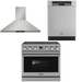 THOR Contemporary Package - 36" Electric Range, Range Hood and Dishwasher, THOR-AP-ARE36-C10
