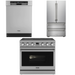 THOR Contemporary Package - 36" Electric Range, Refrigerator and Dishwasher, THOR-AP-ARE36-C24